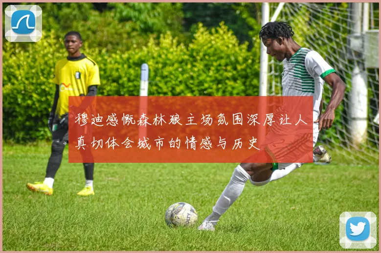 穆迪感慨森林狼主场氛围深厚让人真切体会城市的情感与历史