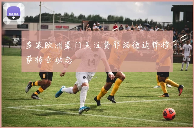 多家欧洲豪门关注费耶诺德边锋穆萨转会动态